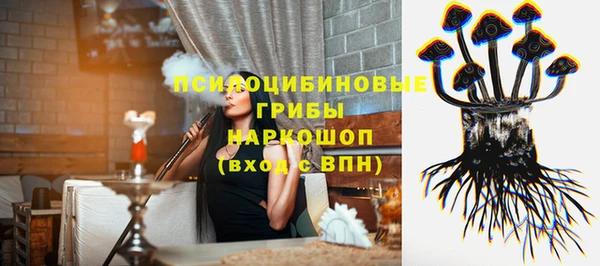 гидра Бронницы