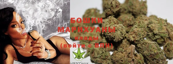 гидра Бронницы