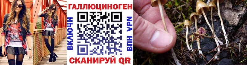 Псилоцибиновые грибы мицелий  продажа наркотиков  Армавир 